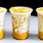 Best Mango Saga in Trumbull, CT